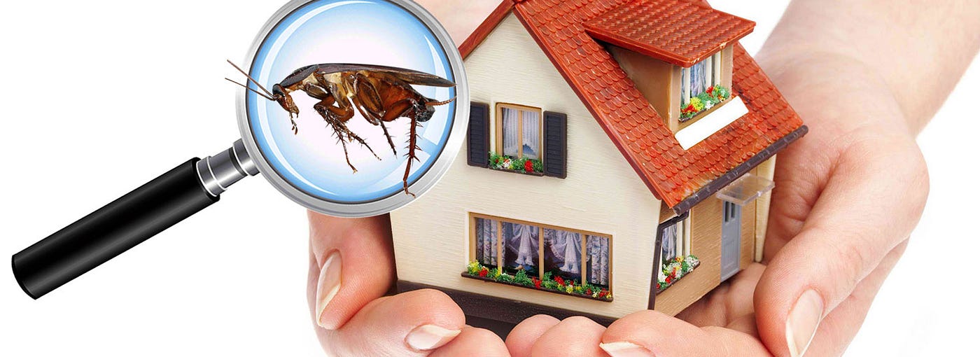 Safe Pest Control Measures for Business Environments