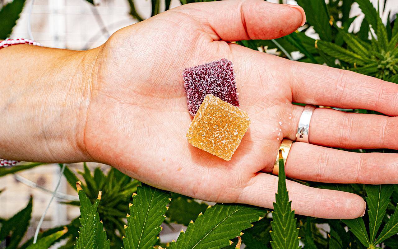 Chill, Focus, Repeat Delta 8 Gummies for Your Best Vibes