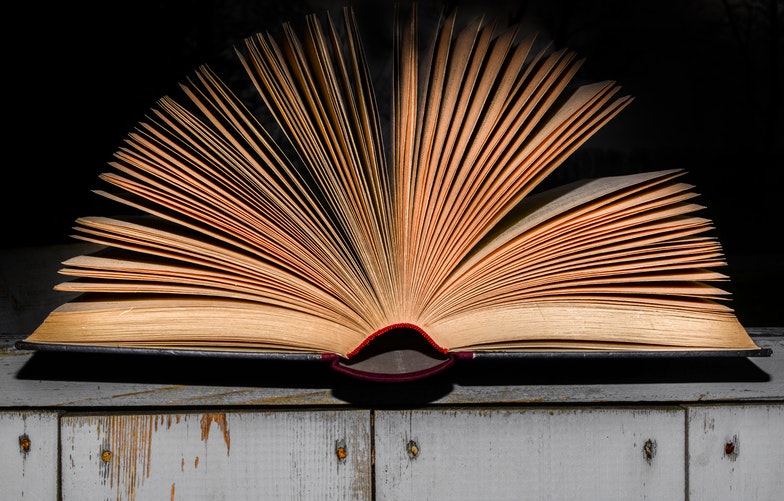 Introduction to Policing, 5th Edition PDF – Criminal Justice Essentials